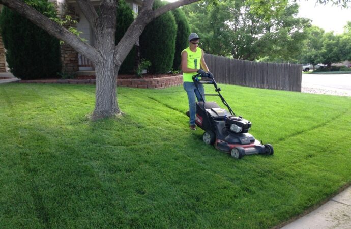 Lawn Service-Pearland TX Landscape Designs & Outdoor Living Areas-We offer Landscape Design, Outdoor Patios & Pergolas, Outdoor Living Spaces, Stonescapes, Residential & Commercial Landscaping, Irrigation Installation & Repairs, Drainage Systems, Landscape Lighting, Outdoor Living Spaces, Tree Service, Lawn Service, and more.