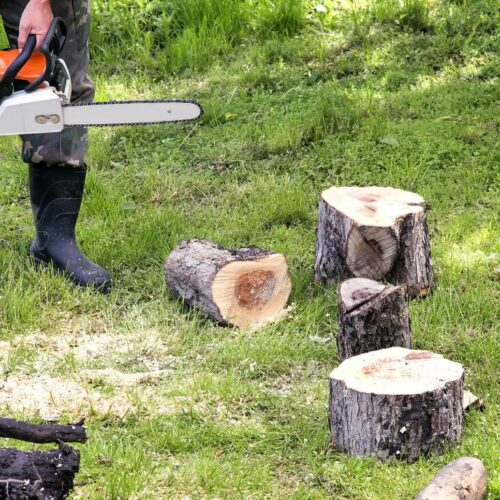 Tree Service-Pearland TX Landscape Designs & Outdoor Living Areas-We offer Landscape Design, Outdoor Patios & Pergolas, Outdoor Living Spaces, Stonescapes, Residential & Commercial Landscaping, Irrigation Installation & Repairs, Drainage Systems, Landscape Lighting, Outdoor Living Spaces, Tree Service, Lawn Service, and more.