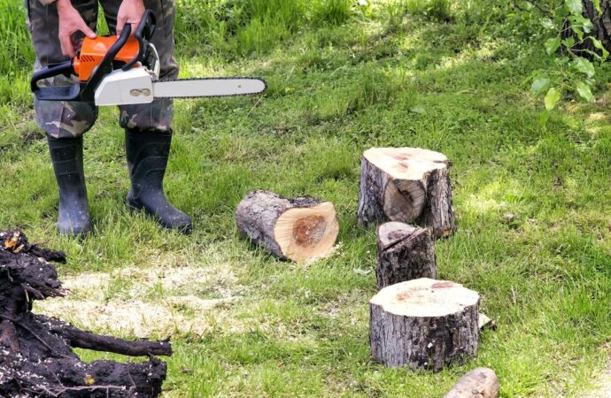 Tree Service-Pearland TX Landscape Designs & Outdoor Living Areas-We offer Landscape Design, Outdoor Patios & Pergolas, Outdoor Living Spaces, Stonescapes, Residential & Commercial Landscaping, Irrigation Installation & Repairs, Drainage Systems, Landscape Lighting, Outdoor Living Spaces, Tree Service, Lawn Service, and more. Tree Service-Pearland TX Landscape Designs & Outdoor Living Areas-We offer Landscape Design, Outdoor Patios & Pergolas, Outdoor Living Spaces, Stonescapes, Residential & Commercial Landscaping, Irrigation Installation & Repairs, Drainage Systems, Landscape Lighting, Outdoor Living Spaces, Tree Service, Lawn Service, and more.